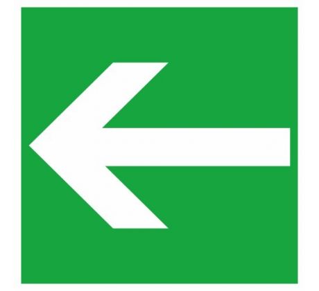E013
