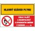 D304 Hlavný uzáver plynu/Zákaz fajčiť.......! samolepka/plast 130x131 mm